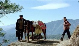 马背法庭在线观看,在线见证司法公正之旅